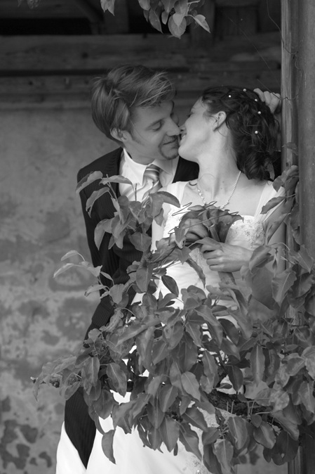 brautpaar küsst sich verliebt hinter einem busch, schwarz-weiss